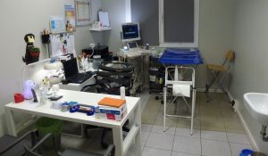 Endoscopia veterinaria a Modena